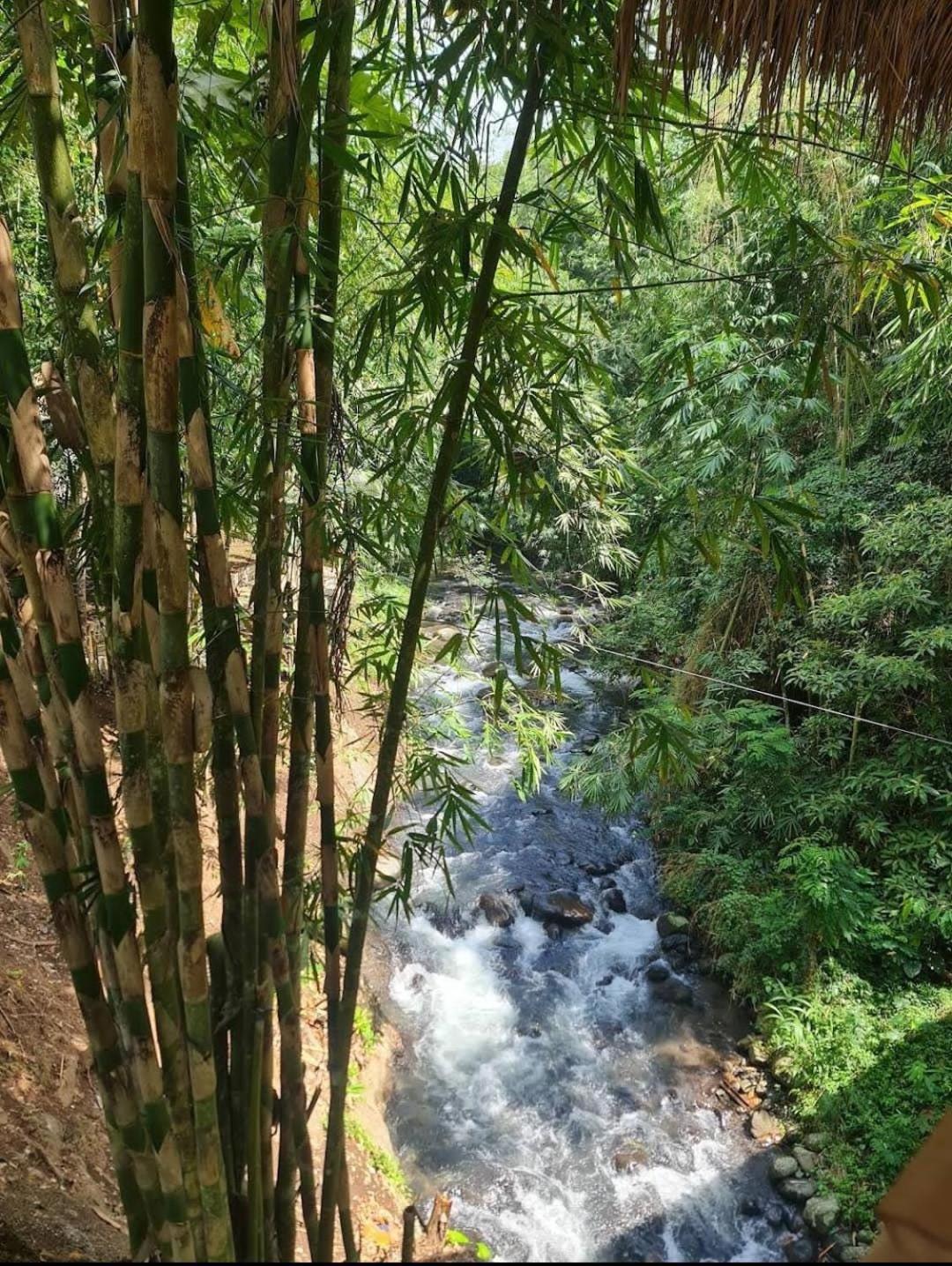 The Osing Bamboo Resort - A Liberta Collection Banyuwangi  Εξωτερικό φωτογραφία